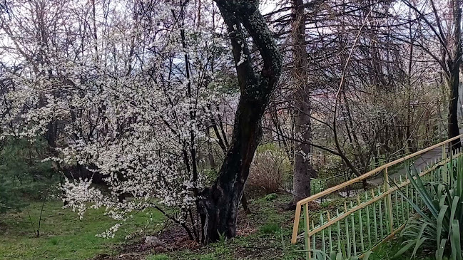 Opinii despre параклис Св. Петка în Сапарева баня - църква