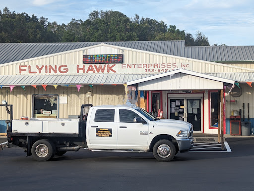 Flying Hawk - Visual