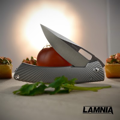 Photos of Lamnia
