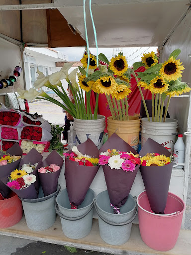 Venta de rosas - Visual