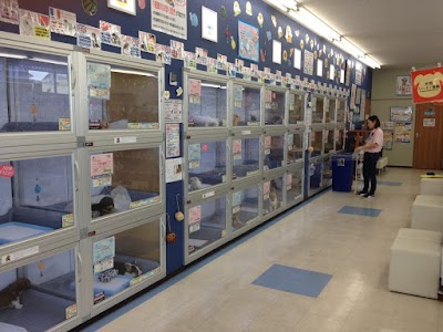 ペットショップCoo&RIKU 藤岡店