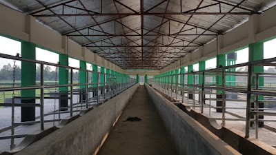 Photos of Mushuddi Dakkhin Para