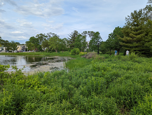 PrairieWalk Pond - Thumbnail