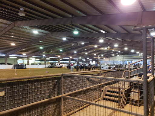 STILL CREEK ARENA - Thumbnail