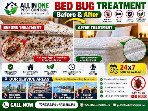 Bed Bug Treatment Before and After post image