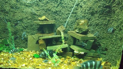Photos of Acuario Municipal