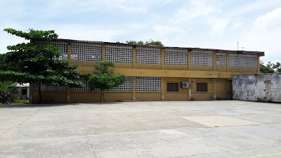 Photos of Intemisol