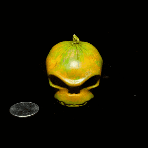 Uncle Stogys - Thumbnail