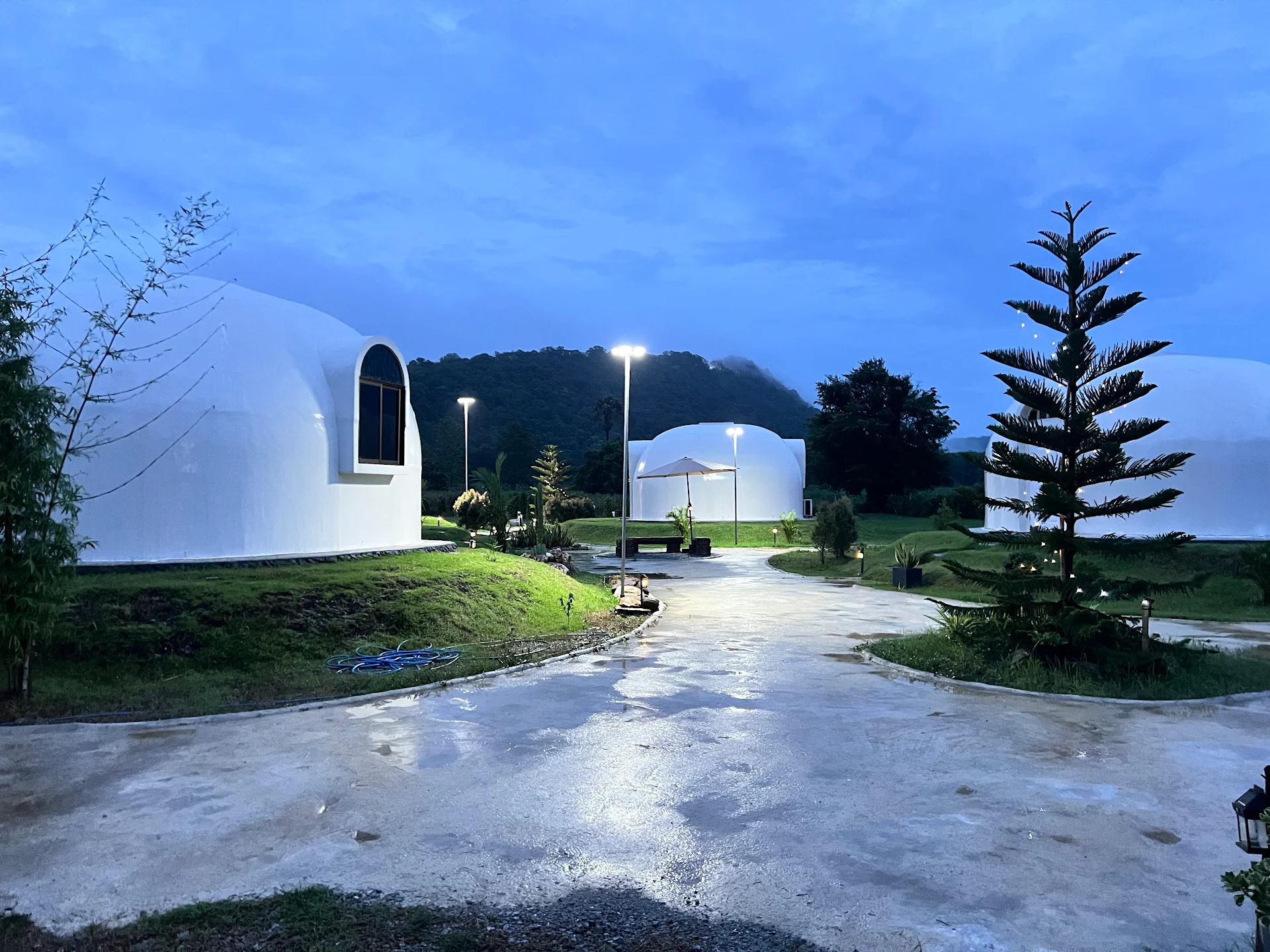 Domu House