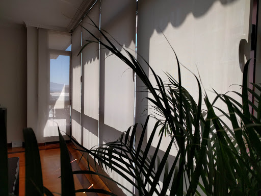 AXIS inmo - Visual