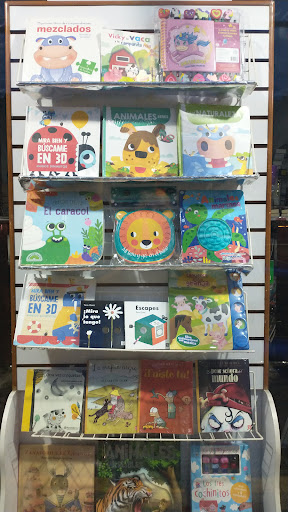 Libreria Virgo - Thumbnail