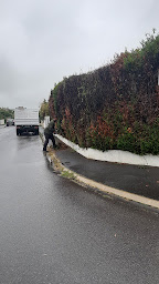 Photo n°19 de J.becker élagueur à Briis-sous-Forges (Maçon)