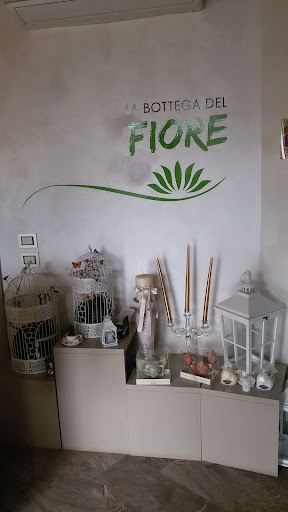 La bottega del fiore di Gregorio Zanni - Thumbnail