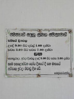 Paladikulama Weda Gedara, Author: Ajitha Kumarasinghe