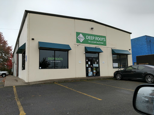 Deep Roots - Visual