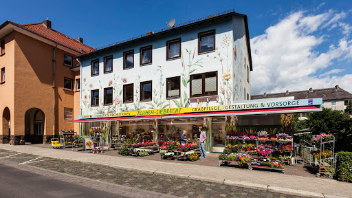 Blumen-Siebrecht - Visual