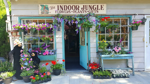 Indoor Jungle