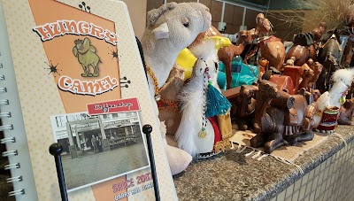 Photos of Hungry Camel