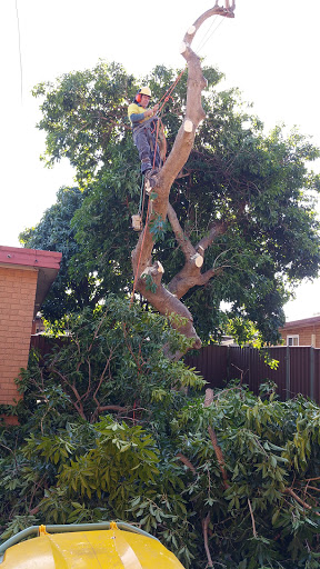 St Johns Rd at Canterbury Rd Gallery - Australia