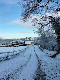 Photo n°7 de Gîte du Clos Saint André La Thironnière à Saint-André-d'Hébertot (Gîte)
