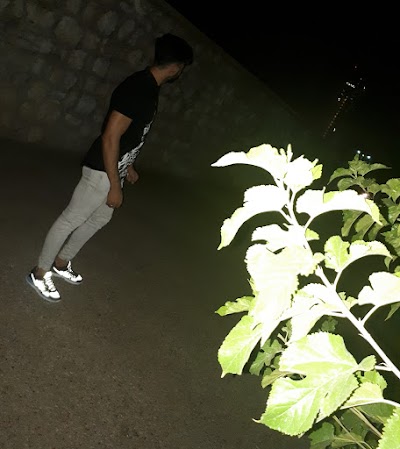 Photos of Yasaman Park