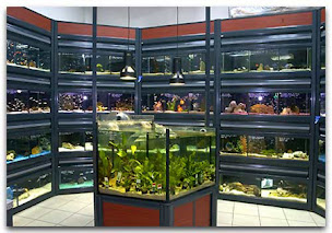 Photo n°4 de Abri sous roche à Courbevoie (Aquarium)