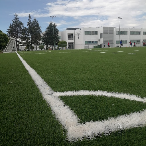 School of Physical Culture - BUAP Logo