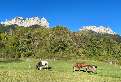 Nature Equestre