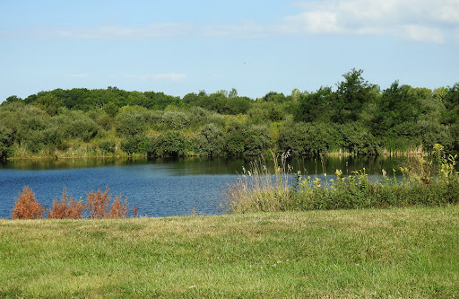 Lake McMaster - Visual