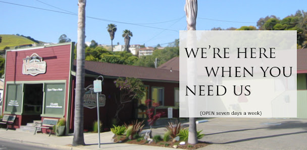 Pismo Beach Veterinary Clinic 990 Price St, Pismo Beach, CA 93449, United States