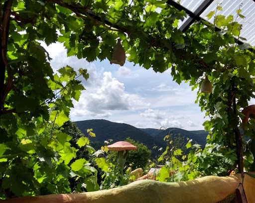 Weingut Försterhof Vinothek - Thumbnail