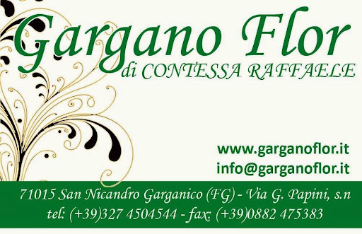 Gargano Flor - Visual