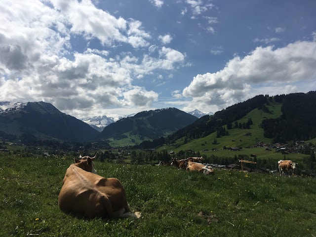 Lauenensee