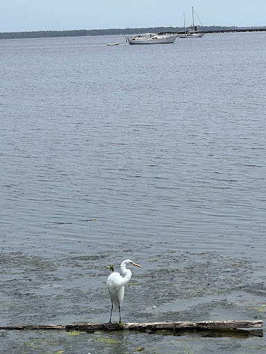 Green Cove Springs Public Pier - Thumbnail