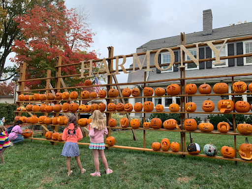 Great Elizabeth Pumpkin Wall - Thumbnail
