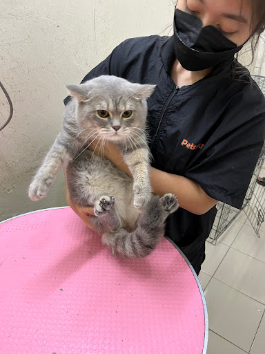 Pets Mart Batu Pahat