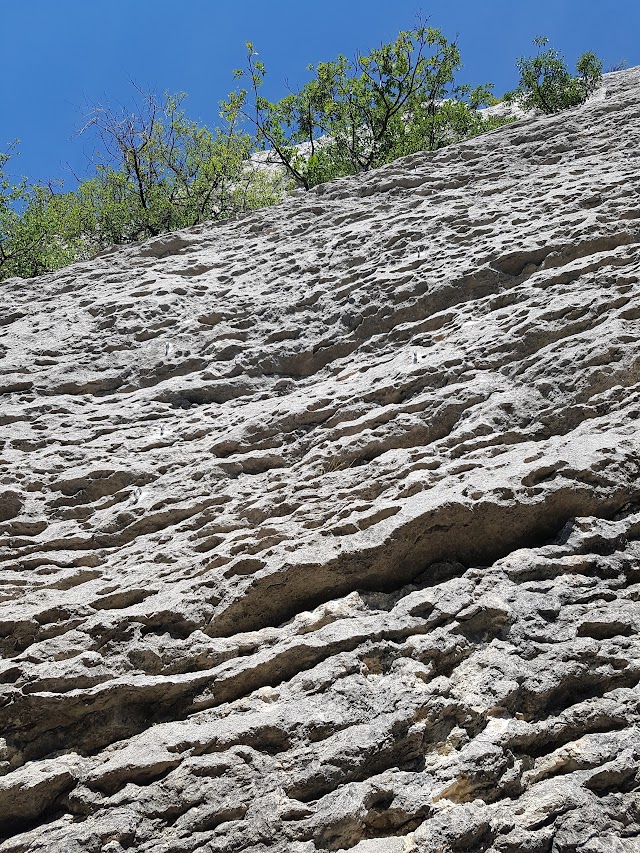 Falesia Belvedere
