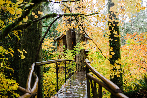 TreeHouse Point - Thumbnail
