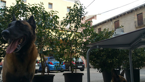 La Toranesa - Visual