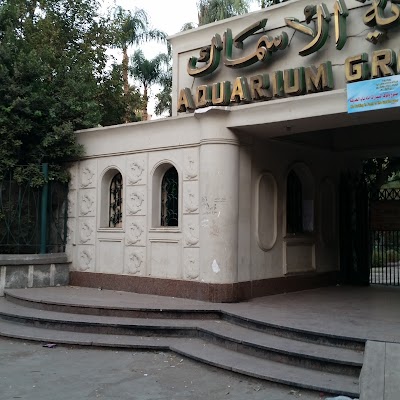 Photos of Aquarium حديقة الأسماك