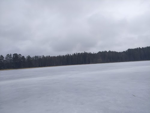 RMK Jõemõisa lõkkekoht