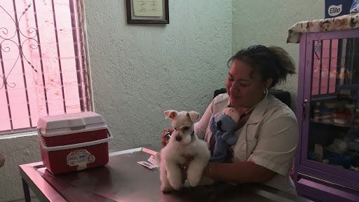 Dra. Shirley Fajardo Centro Integral Veterinario