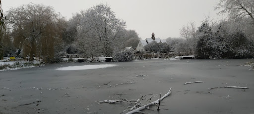 Willian Pond Gallery - United Kingdom