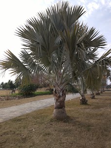 Gate 4 islamabad