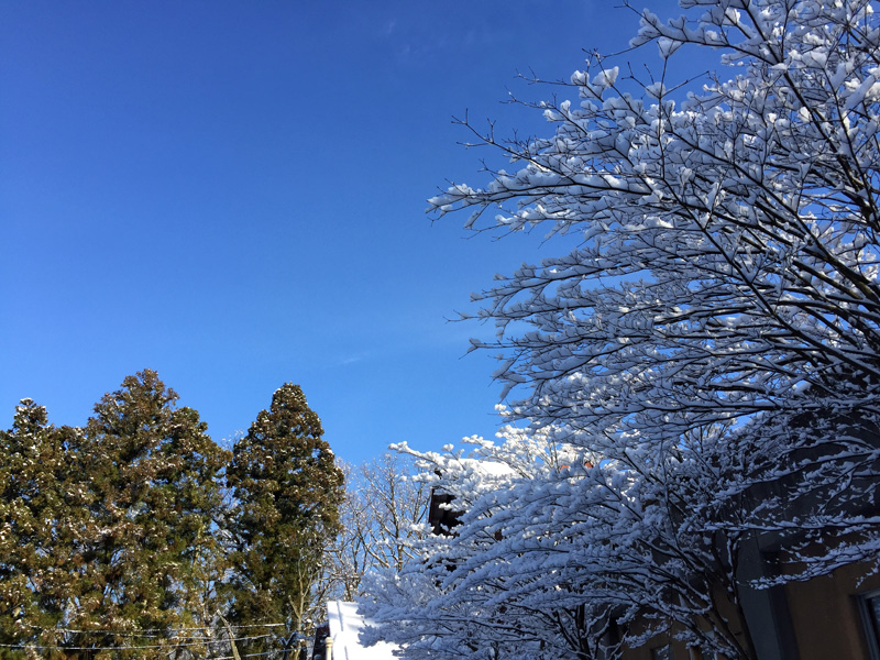 三条市グリーンスポーツセンター