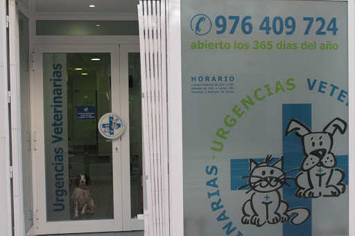 Urgencias Veterinarias Zaragoza