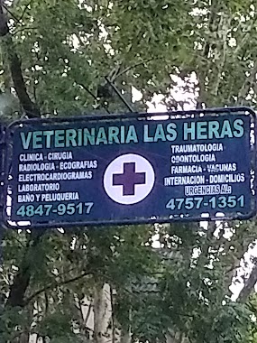 Clínica Veterinaria Las Heras, Author: Karina Malzone