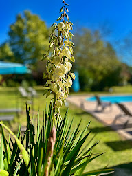 Photo n°44 de Domaine plan des Devens: Gîtes classés 4* à Roussillon (Location d'appartement de vacances)