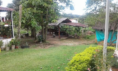 Photos of Pasha Motel