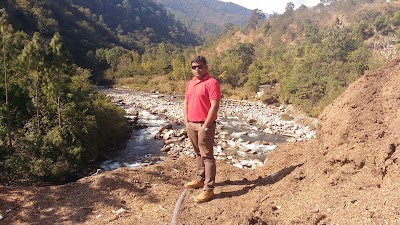Photos of Mountain Hazelnut Venture